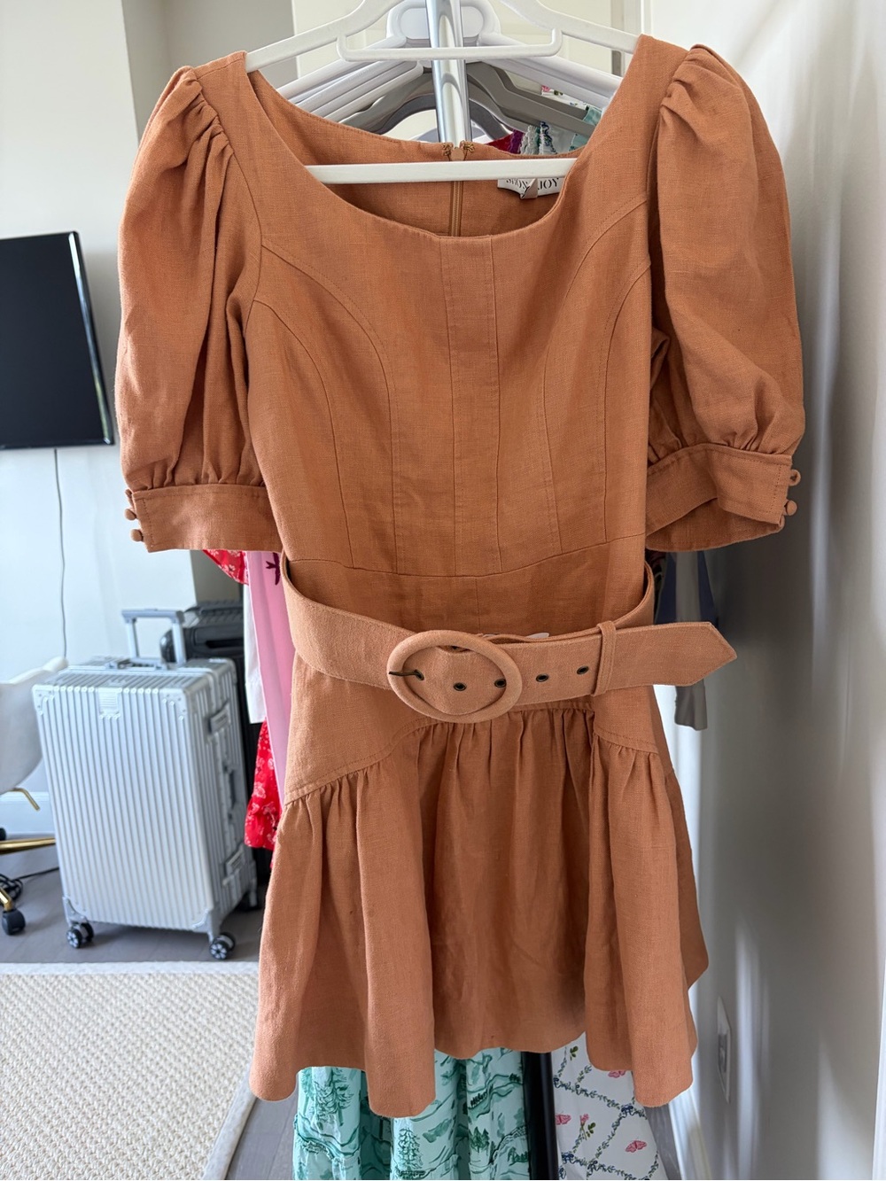 Shona Joy Rust/Terracotta Puff-Sleeve Belted Mini Dress